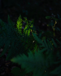 Similar image 22226133