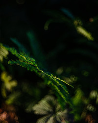 Similar image 22226135