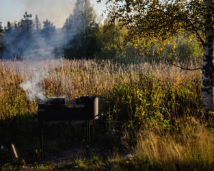 Similar image 22231363