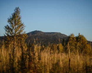 Similar image 22231365