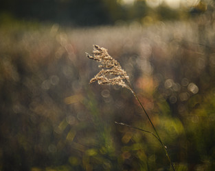 Similar image 22231366