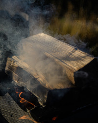 Similar image 22226136