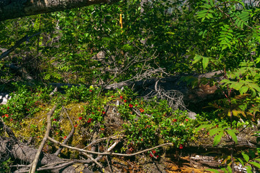 Similar image 22227656