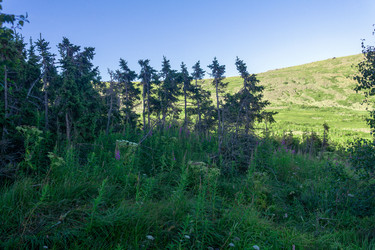 Similar image 22227668