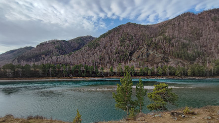 Similar image 22224661