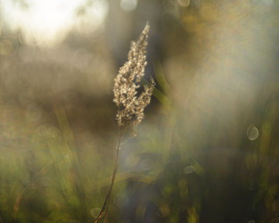 Similar image 22226138