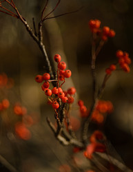 Similar image 22226141