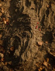 Similar image 22226142