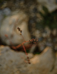 Similar image 22226147