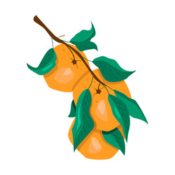 Similar image 22226048