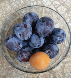 Similar image 22224821