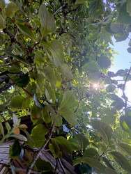 Similar image 22224823