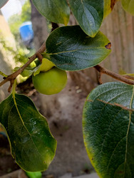 Similar image 22224824