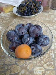 Similar image 22224830