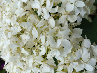 Similar image 22224834