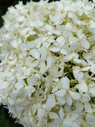 Similar image 22224835