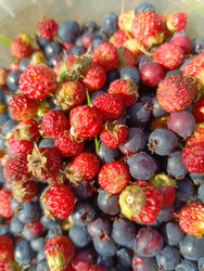 Similar image 22224837