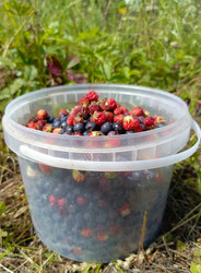 Similar image 22224838