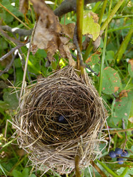 Similar image 22224839