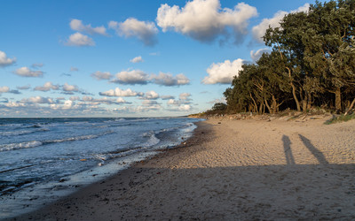 Similar image 22225194