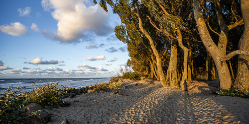 Similar image 22225198