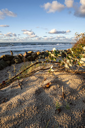 Similar image 22225199