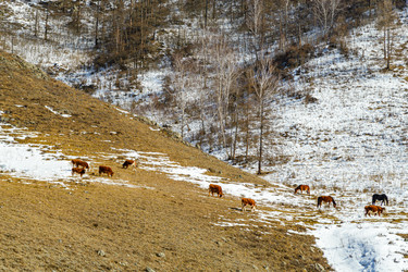 Similar image 22225202