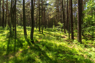 Similar image 22225203