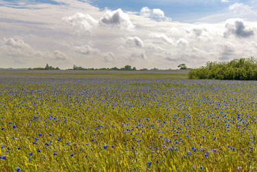 Similar image 22225204