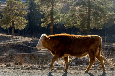 Similar image 22225209