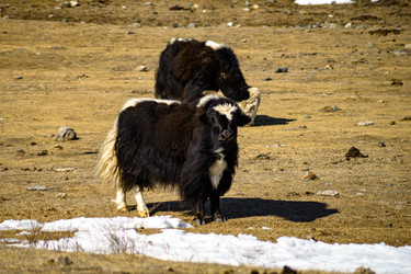 Similar image 22225210