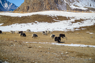 Similar image 22225211