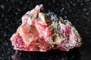 Similar image 22256785