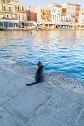 Similar image 22232630