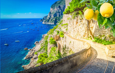 Similar image 22232703