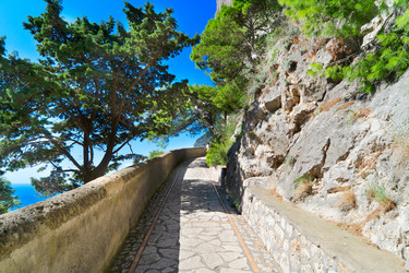 Similar image 22232704