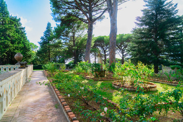 Similar image 22232857