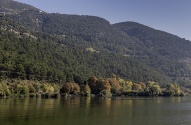 Similar image 22229410