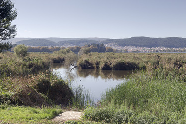 Similar image 22228226