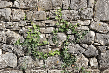 Similar image 22225320