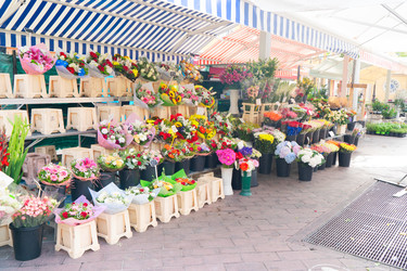 Similar image 22232937