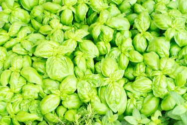 Similar image 22232938