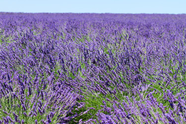 Similar image 22233018