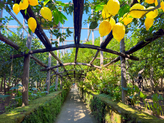 Similar image 22233025