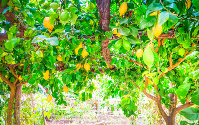 Similar image 22233033