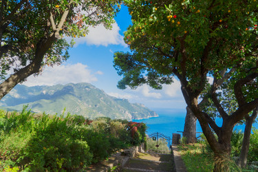 Similar image 22233035