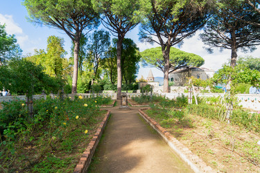 Similar image 22233036