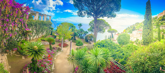 Similar image 22233561