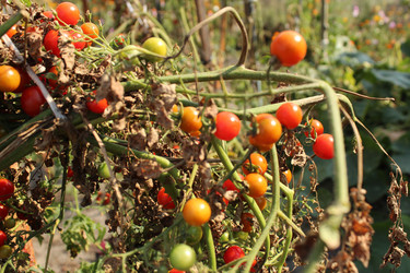 Similar image 22225906