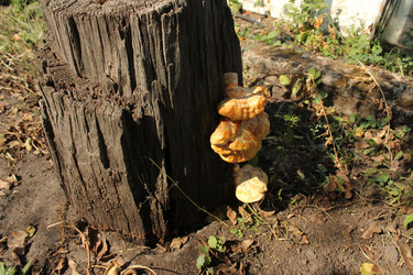 Similar image 22225908